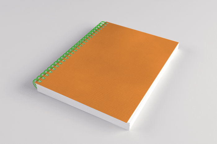Case Bound Diaries